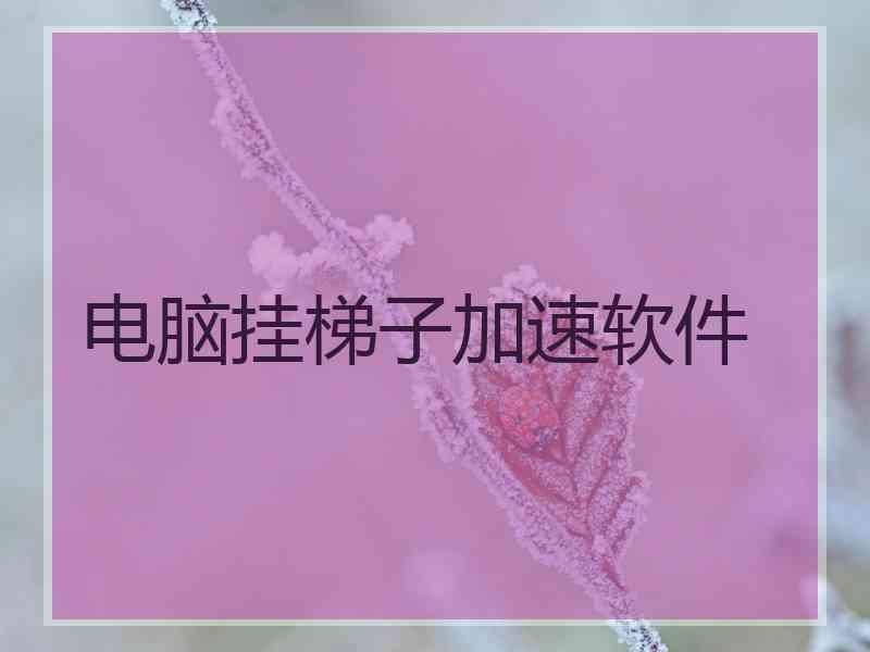 电脑挂梯子加速软件