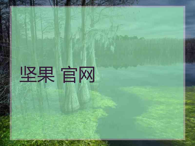 坚果 官网