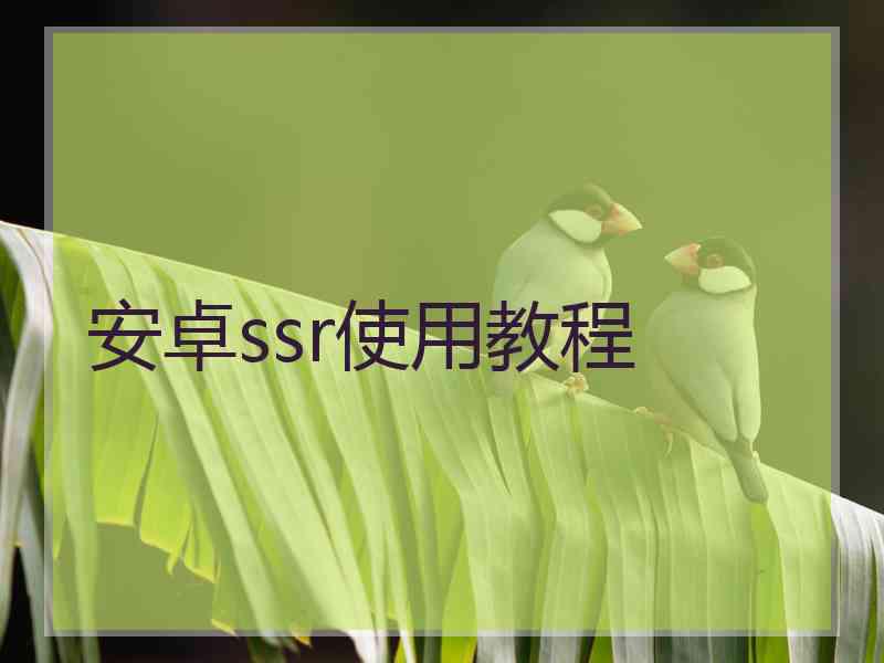 安卓ssr使用教程