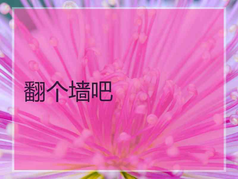 翻个墙吧