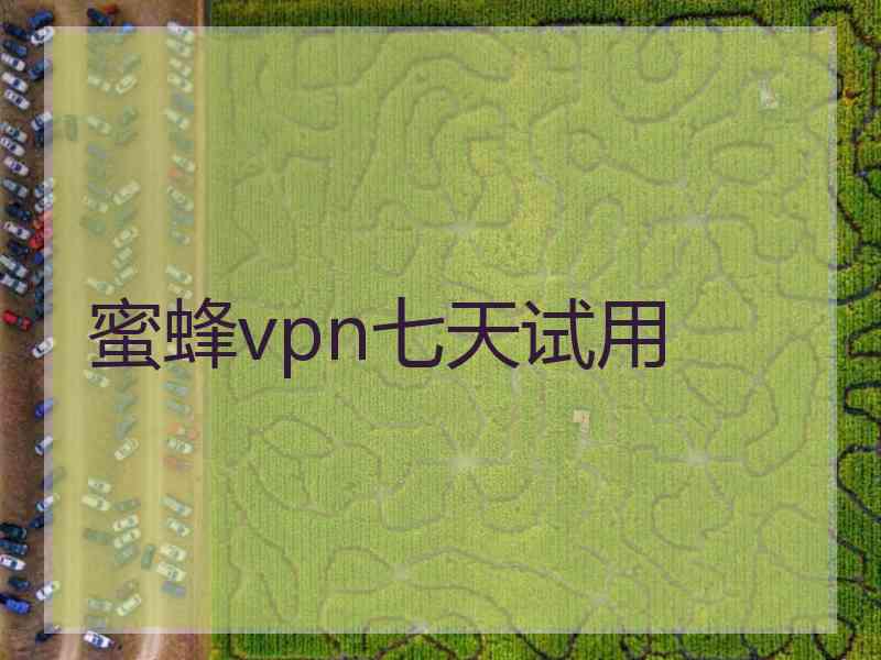 蜜蜂vpn七天试用