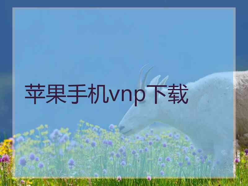 苹果手机vnp下载