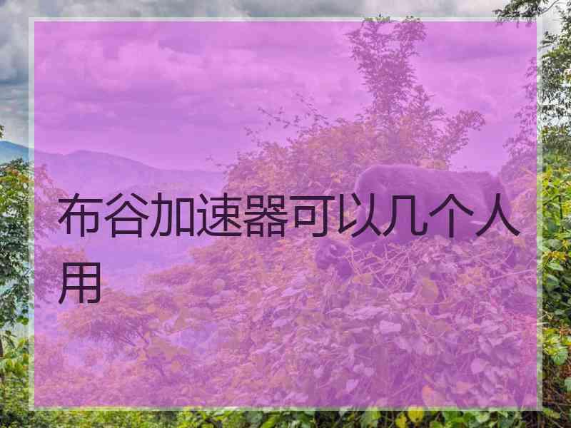 布谷加速器可以几个人用