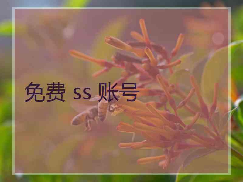 免费 ss 账号