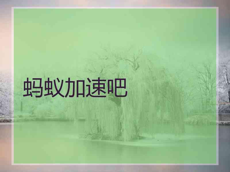 蚂蚁加速吧