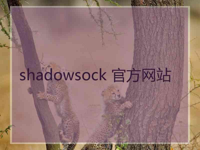 shadowsock 官方网站