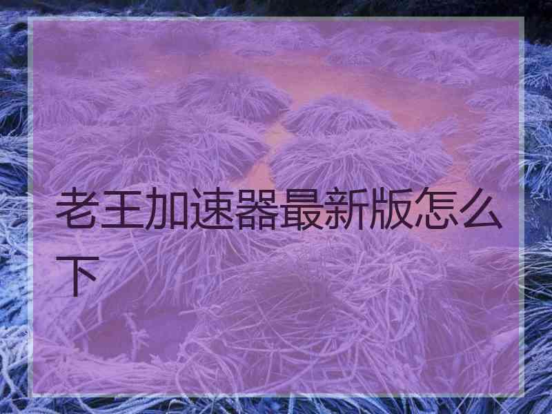老王加速器最新版怎么下