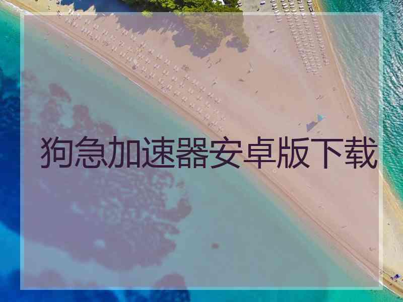 狗急加速器安卓版下载