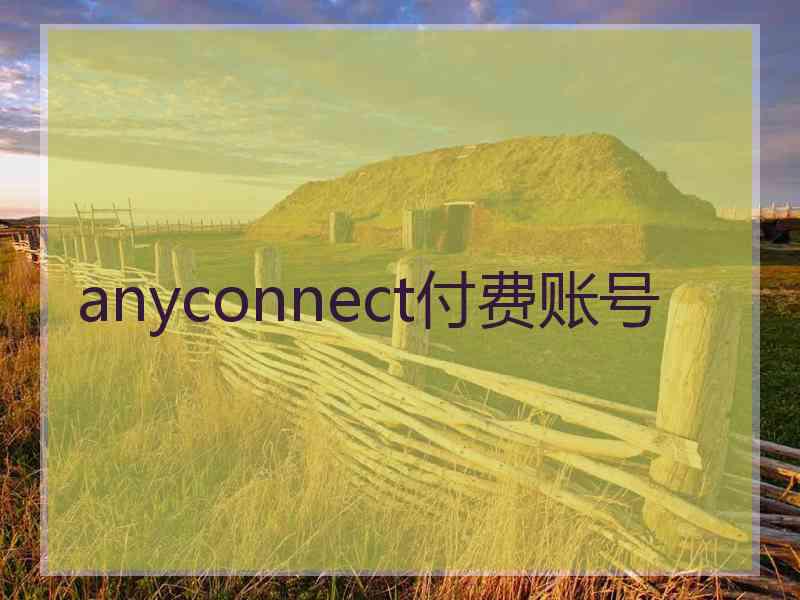 anyconnect付费账号