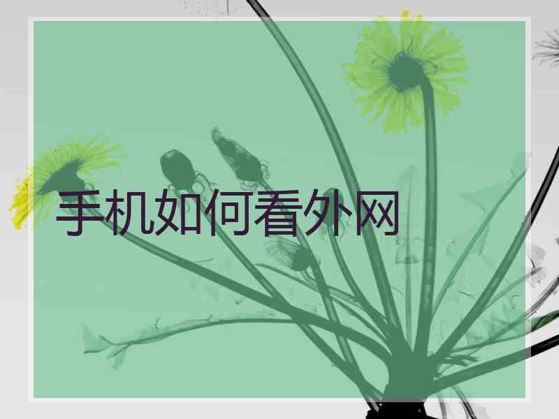 手机如何看外网
