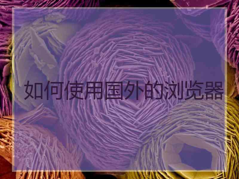 如何使用国外的浏览器