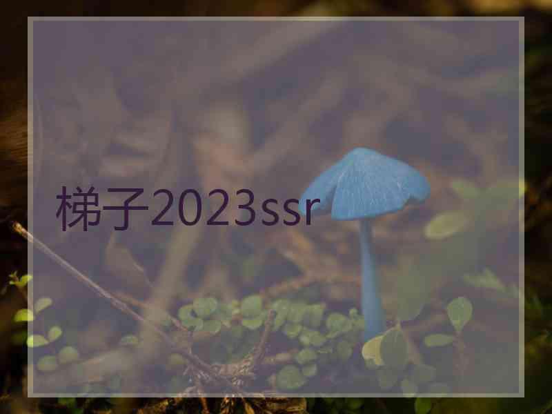 梯子2023ssr