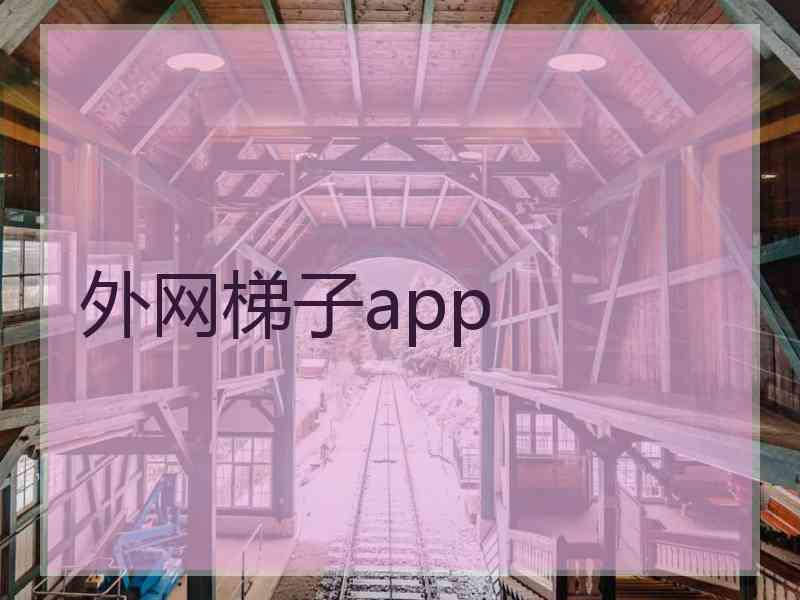 外网梯子app