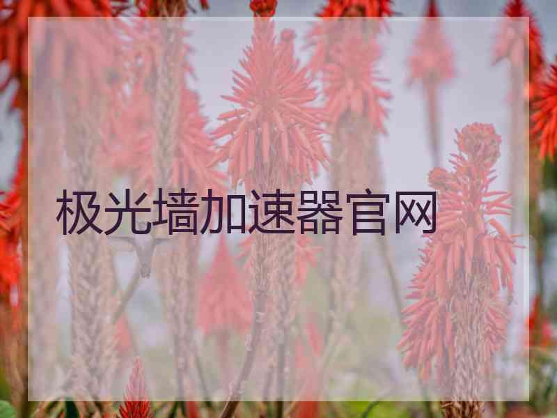 极光墙加速器官网
