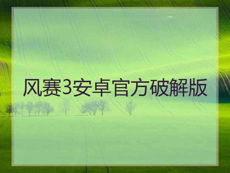 风赛3安卓官方破解版