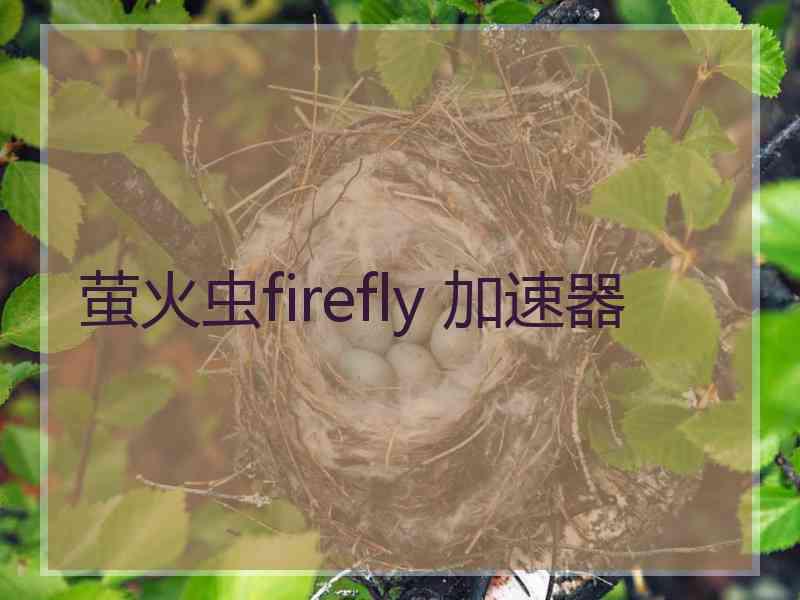 萤火虫firefly 加速器