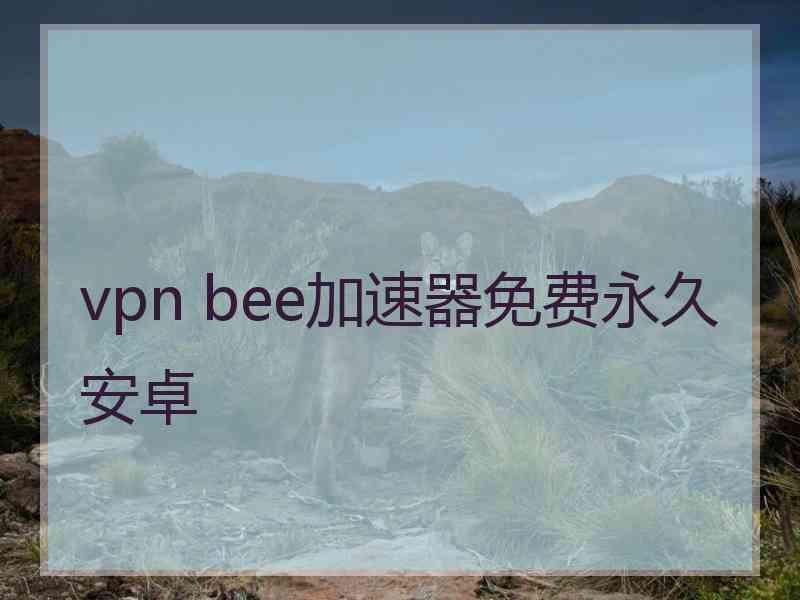 vpn bee加速器免费永久安卓