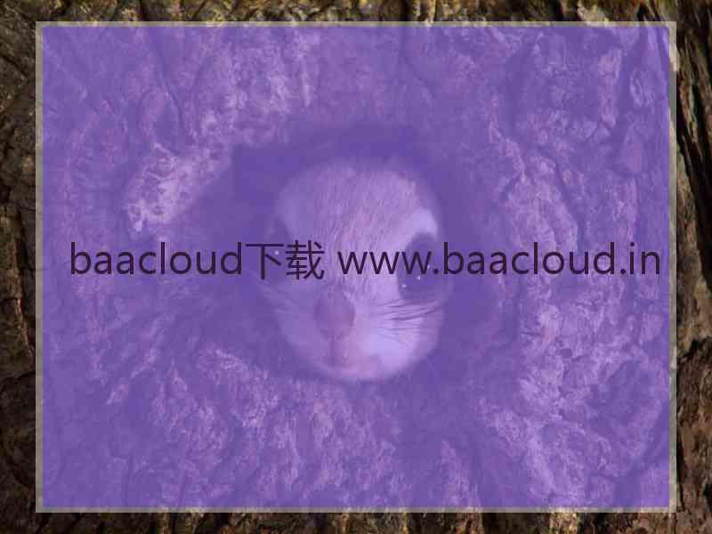 baacloud下载 www.baacloud.in