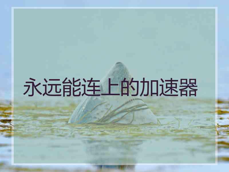 永远能连上的加速器