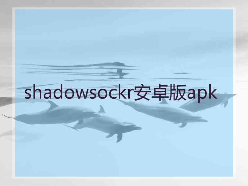 shadowsockr安卓版apk