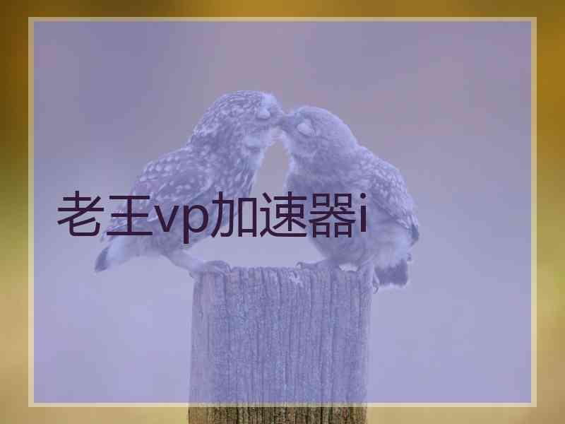 老王vp加速器i
