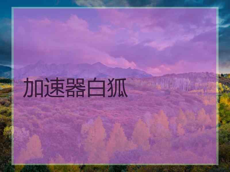加速器白狐