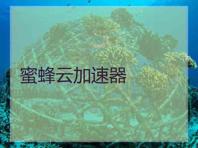 蜜蜂云加速器