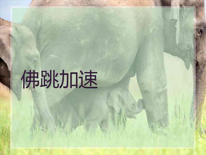 佛跳加速