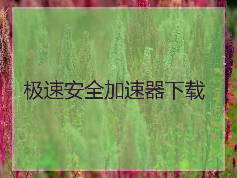 极速安全加速器下载