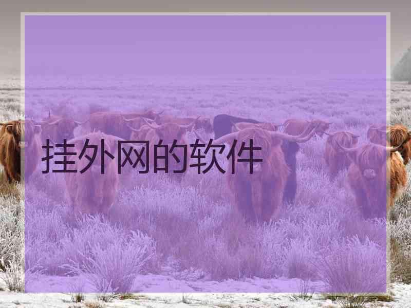 挂外网的软件