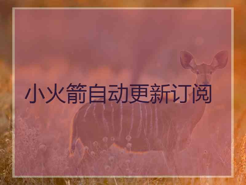 小火箭自动更新订阅