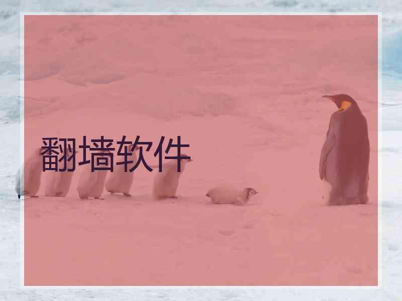 翻墙软件