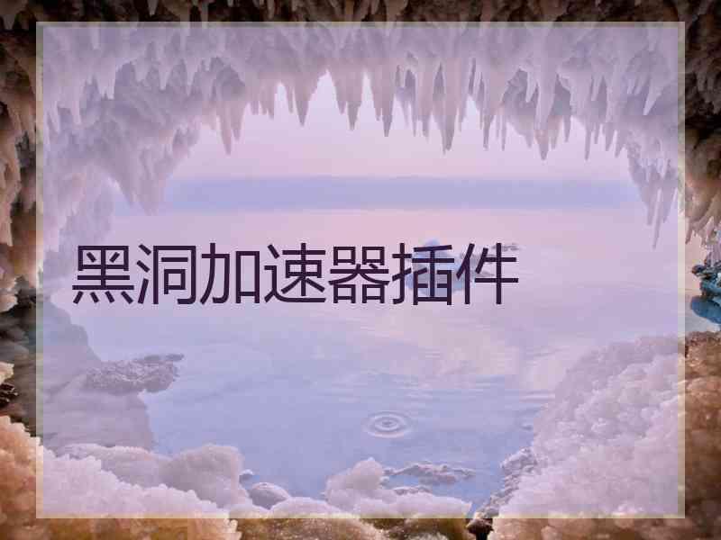 黑洞加速器插件