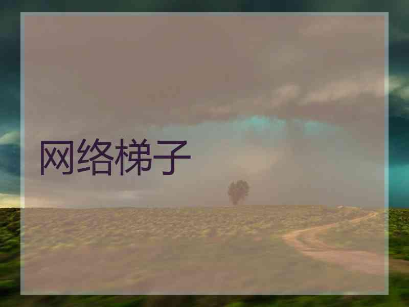 网络梯子