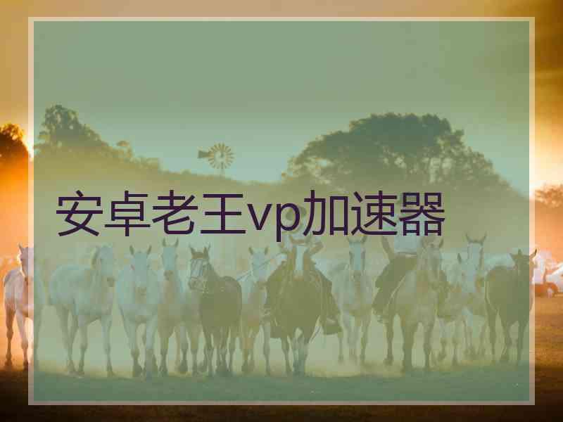 安卓老王vp加速器
