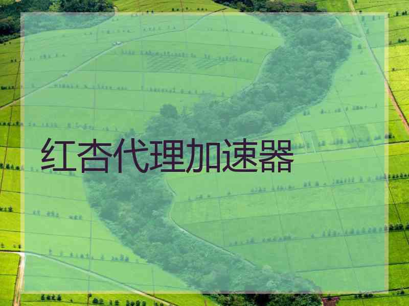 红杏代理加速器
