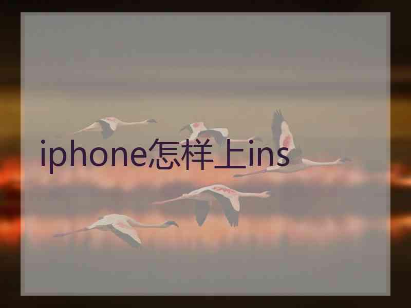 iphone怎样上ins
