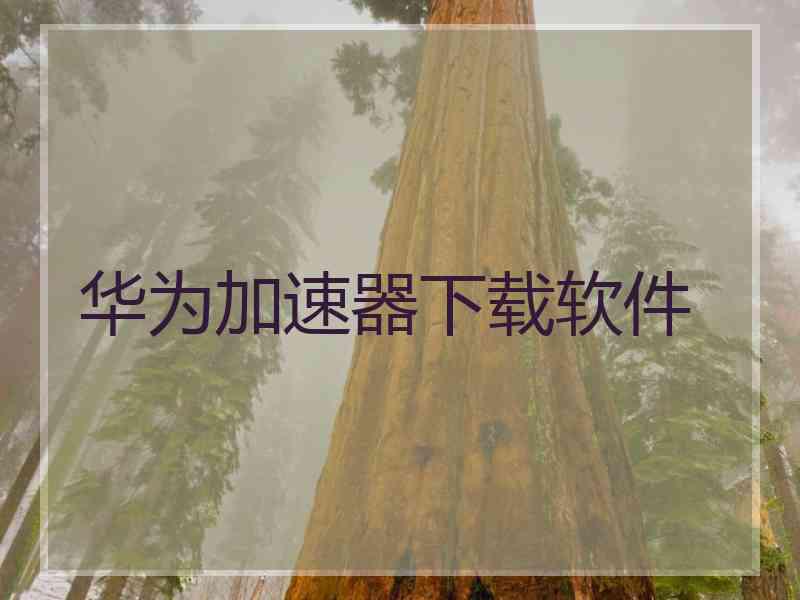 华为加速器下载软件