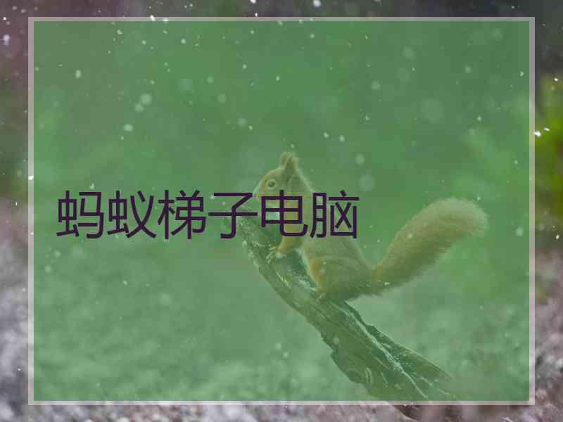 蚂蚁梯子电脑