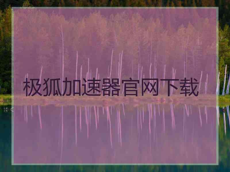 极狐加速器官网下载