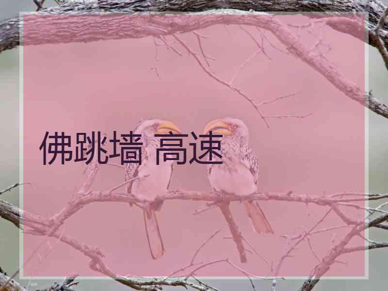 佛跳墙 高速