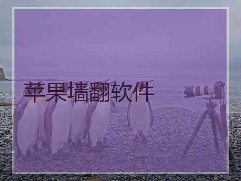 苹果墙翻软件