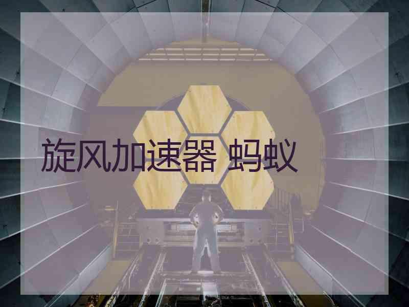 旋风加速器 蚂蚁