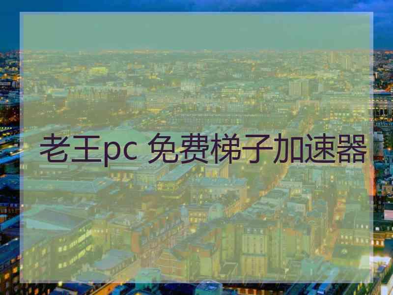 老王pc 免费梯子加速器