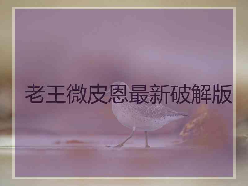 老王微皮恩最新破解版