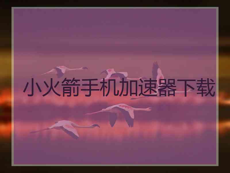 小火箭手机加速器下载
