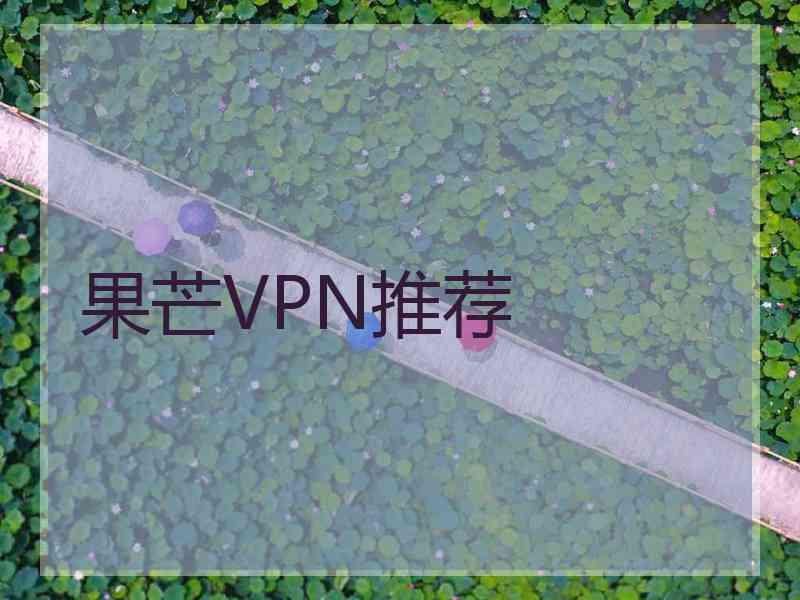 果芒VPN推荐