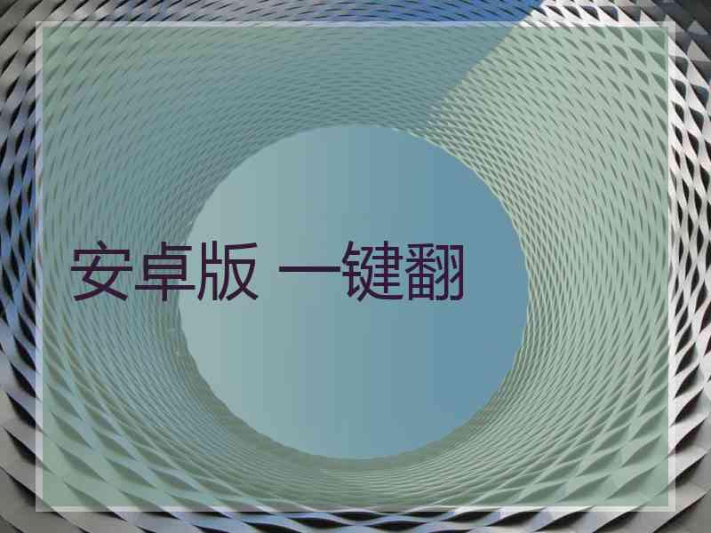 安卓版 一键翻