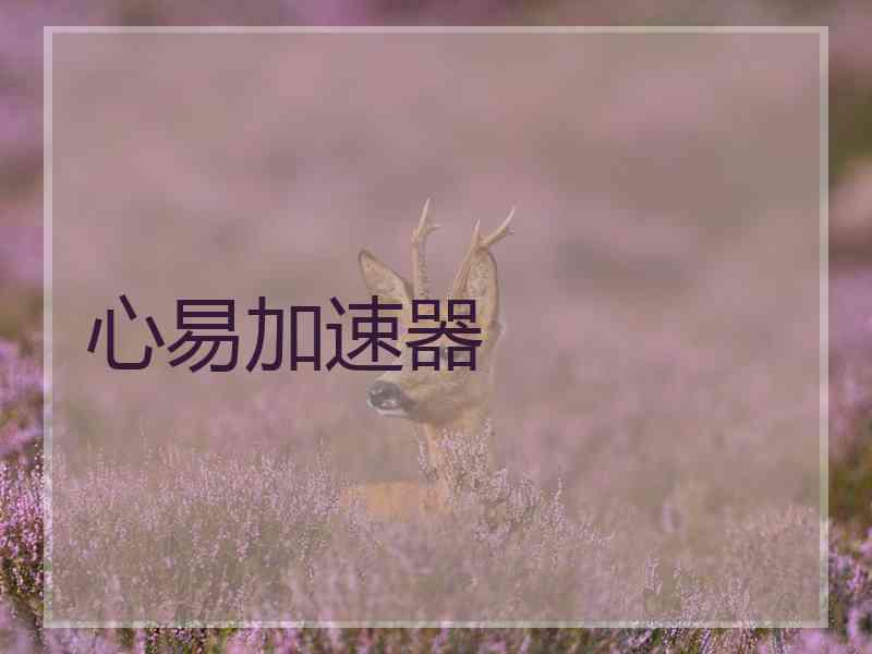 心易加速器