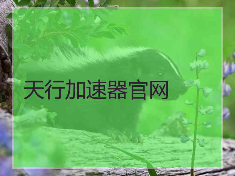 天行加速器官网